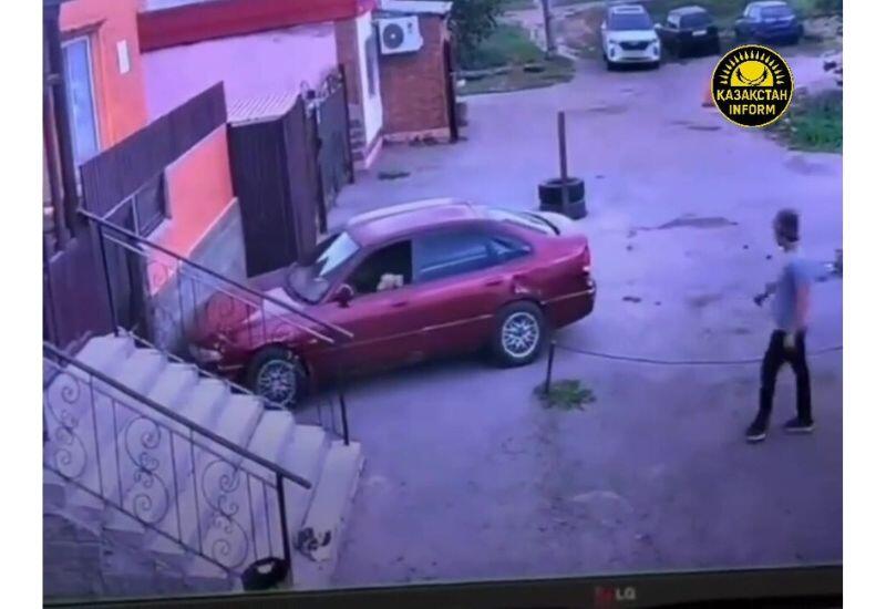 Кошка за рулем автомобиля устроила ДТП в Казахстане