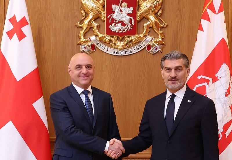 Gürcüstan-Azərbaycan strateji tərəfdaşlığının inkişafı müzakirə olunub