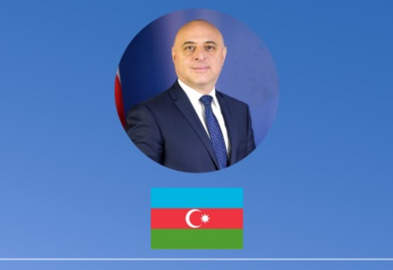Gürcüstan Azərbaycana yeni səfir təyin edib