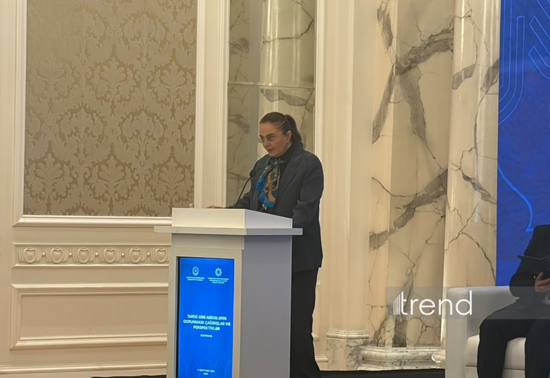 Ведется работа с Интерполом и ЮНЕСКО по атрибуции и реституции культурных ценностей