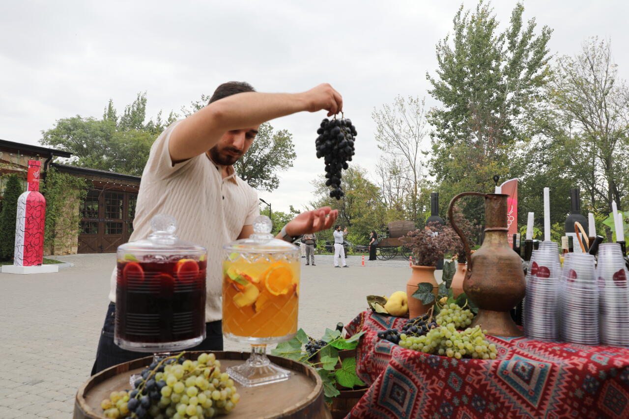 Şamaxıda Üzüm və Şərab Festivalı başlayıb