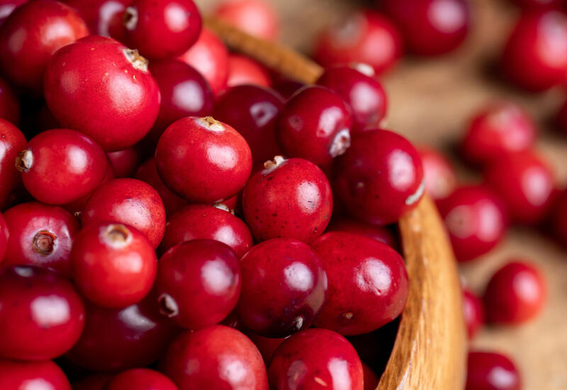 Ученые создали упаковку из водорослей, которая продлевает свежесть продуктов