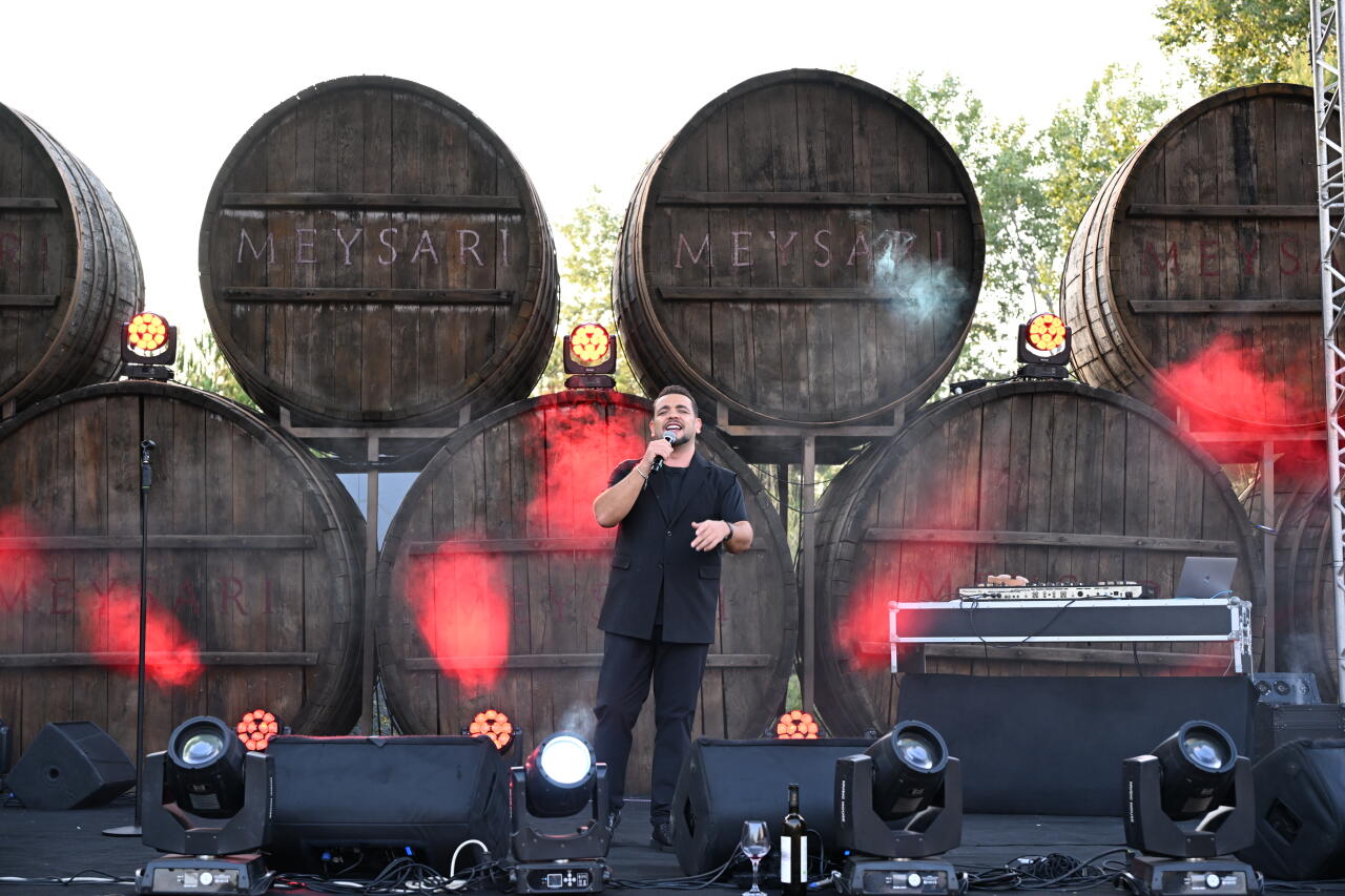 Meysəridə festival axşamı: səhnədə sevilən ifaçılar