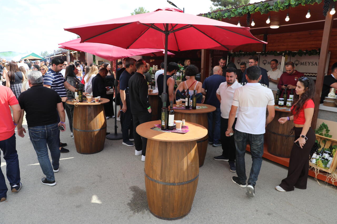 Üzüm, şərab və musiqi - Şamaxıda festival belə başa çatdı