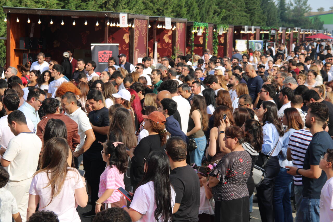 Üzüm, şərab və musiqi - Şamaxıda festival belə başa çatdı