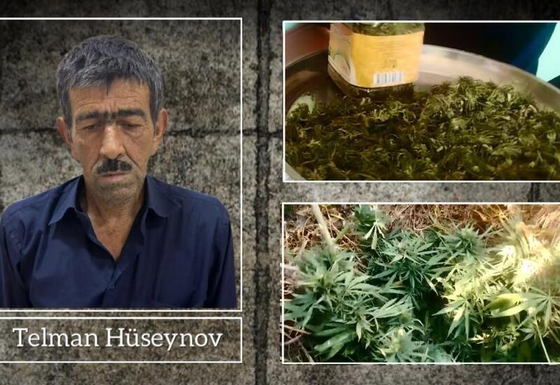 Narkotik yetişdirən şəxs saxlanıldı