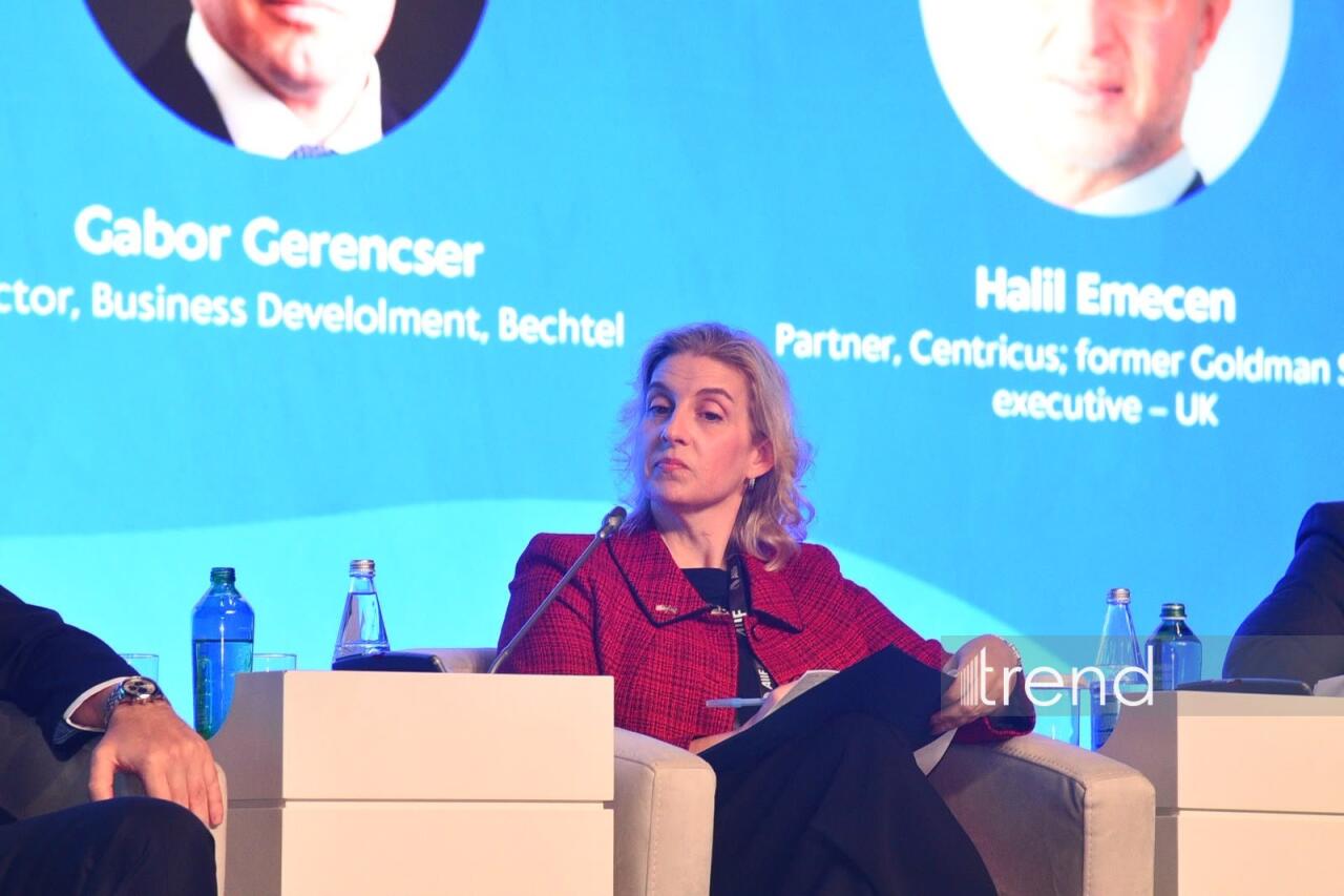 Bakıda II Azərbaycan Beynəlxalq İnvestisiya Forumunun ilk günü başa çatıb