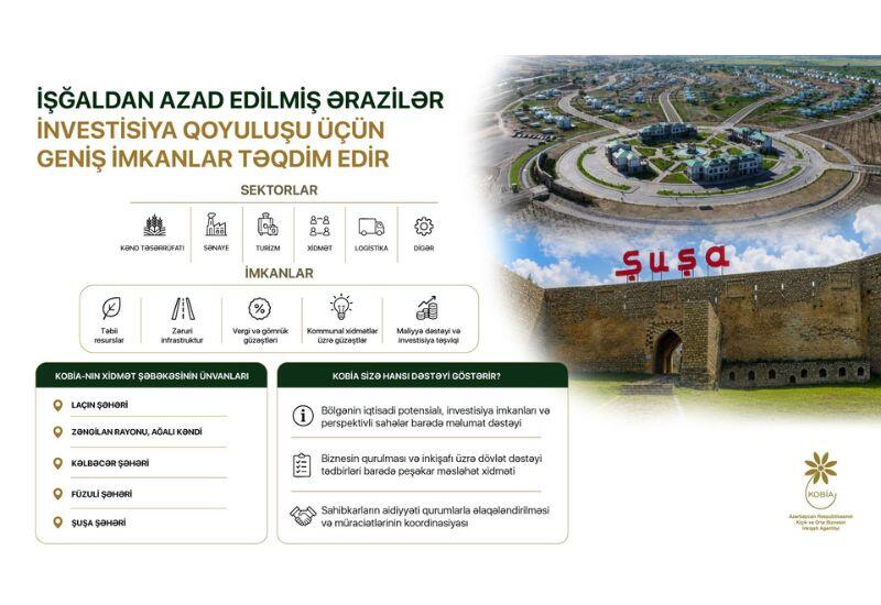 İşğaldan azad edilmiş ərazilər investorlar üçün geniş imkanlar təqdim edir