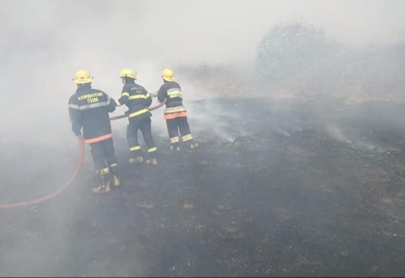 На открытой местности в Агсу произошел пожар