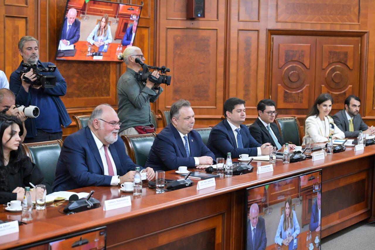 В Сербии появится газовая электростанция при участии SOCAR