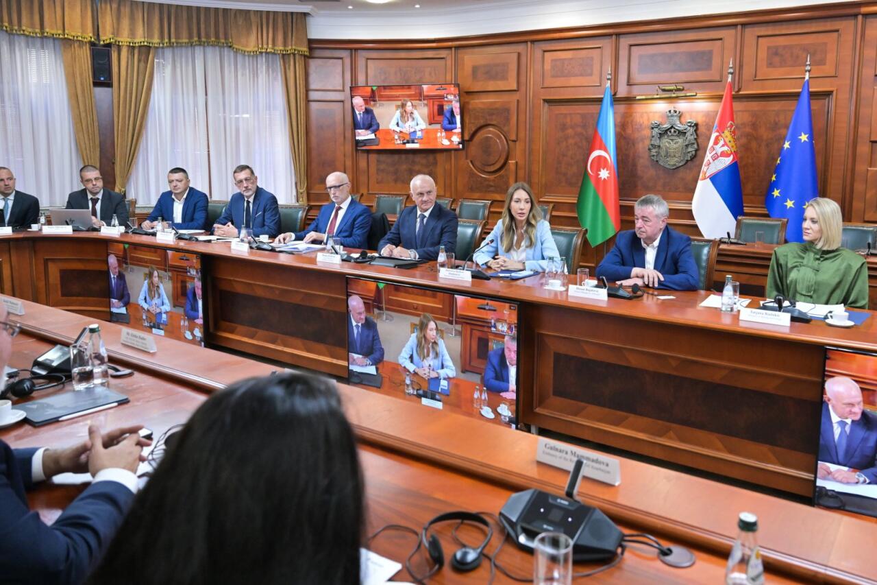 В Сербии появится газовая электростанция при участии SOCAR