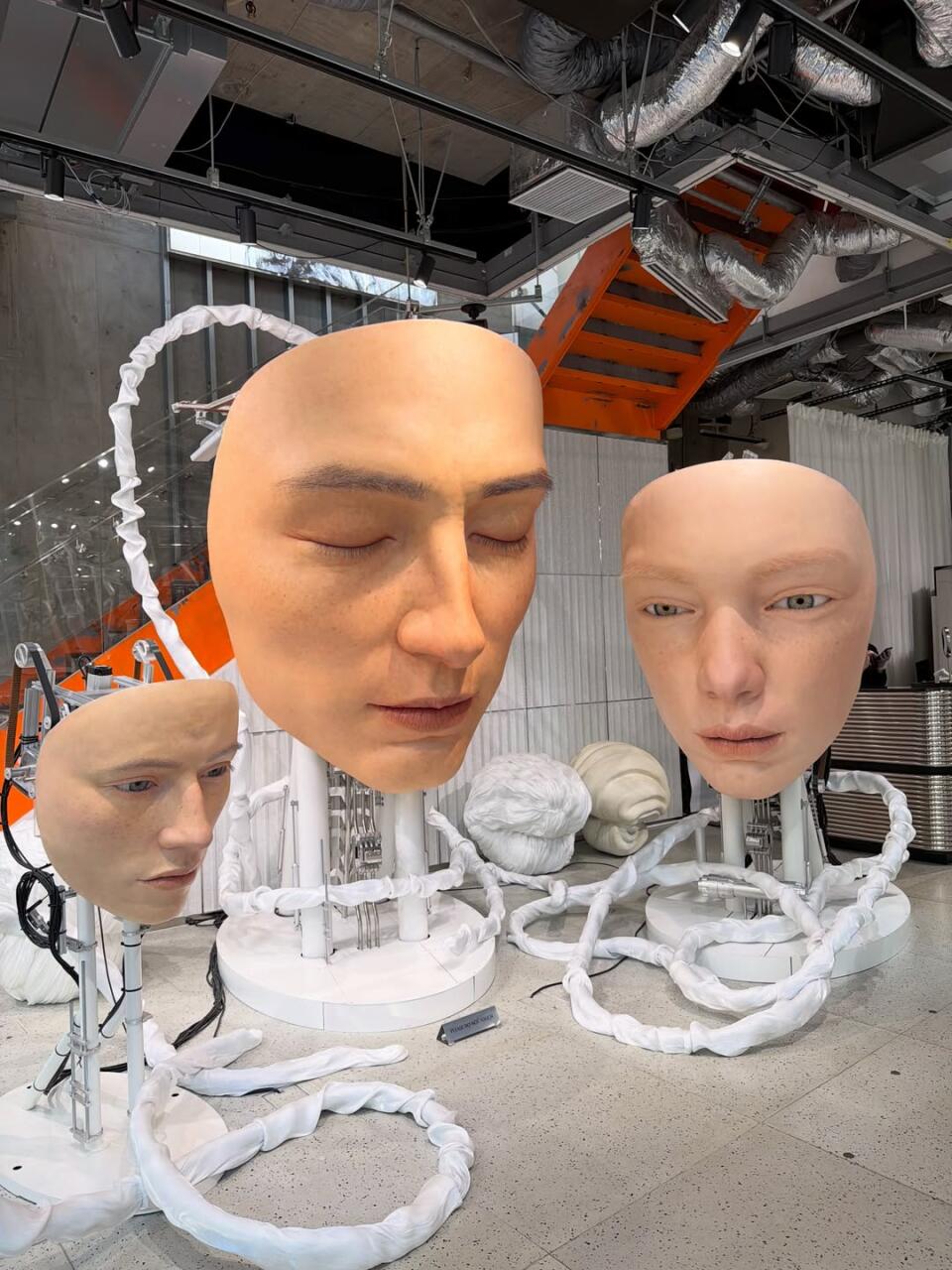 Новый токийский дамп от Лейлы Насирли