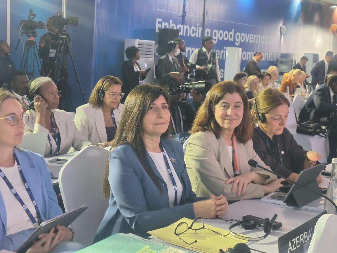 Millət Vəkili Sevil Mikayılova IPU-nun 153-cü Assambleyasında məruzə ilə çıxış edib