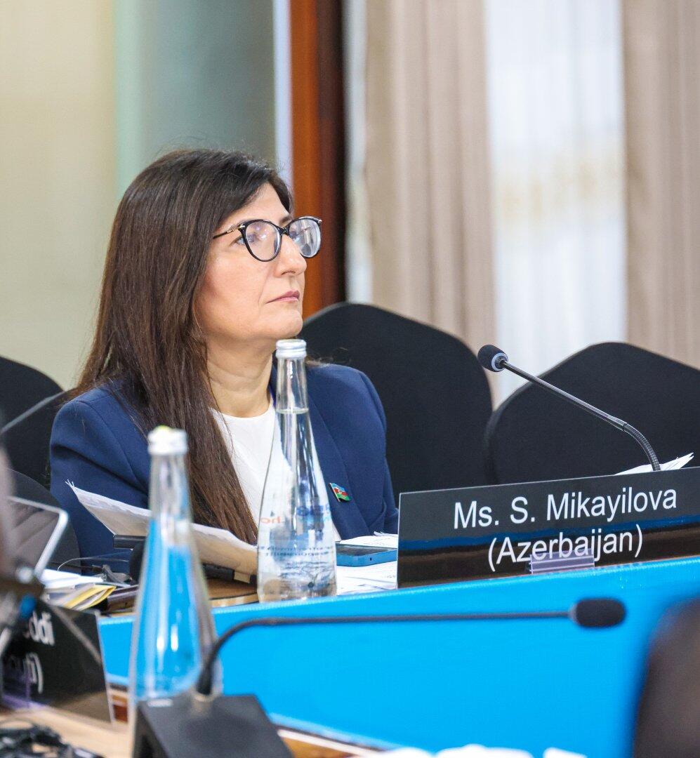 Депутат Севиль Микаилова приняла участие в заседании Исполнительного комитета IPU в Аруше