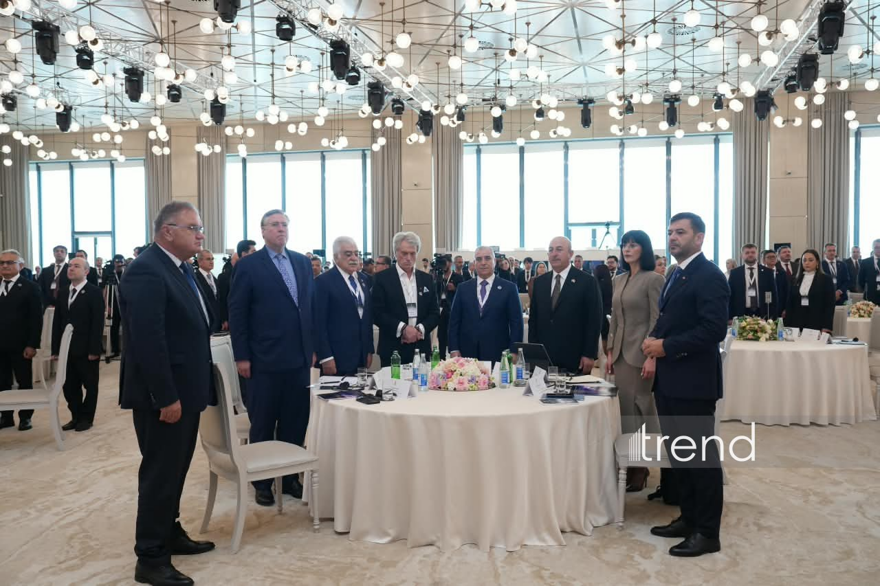 В Баку проходит IV Международная конференция по проблеме пропавших без вести