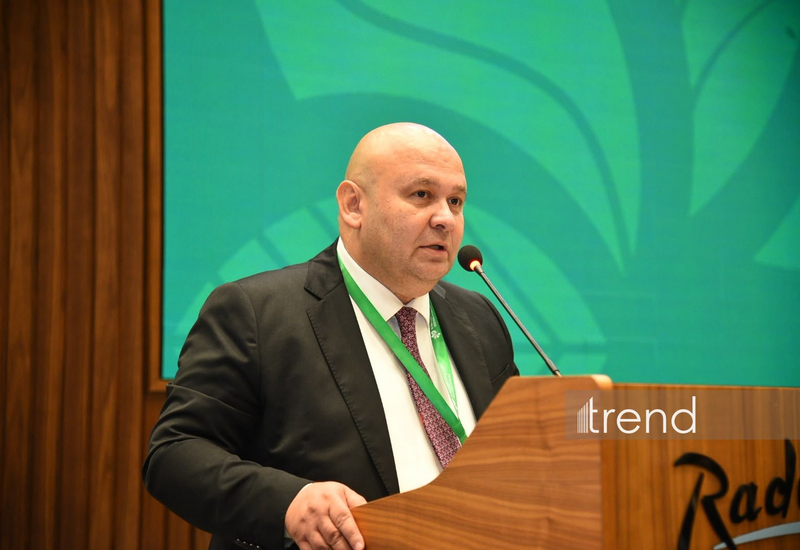 AmCham Azerbaijan призвала укреплять сотрудничество бизнеса и госорганов