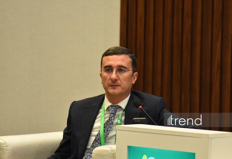 Azərbaycan Körfəz ölkələrinə kənd təsərrüfatı məhsullarının ixracını artıra bilər