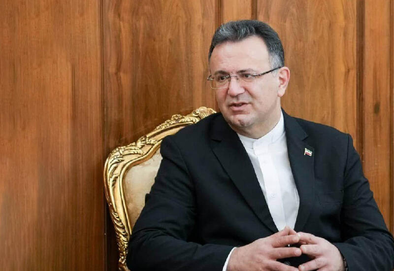 Собаки напали на посла Ирана в Грузии