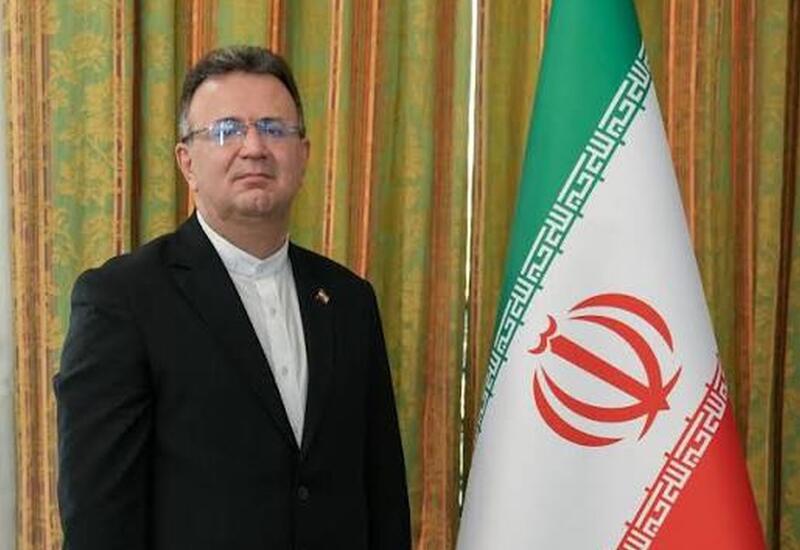 İran səfiri Tbilisidə itlərin hücumuna məruz qalıb, ayağı sınıb