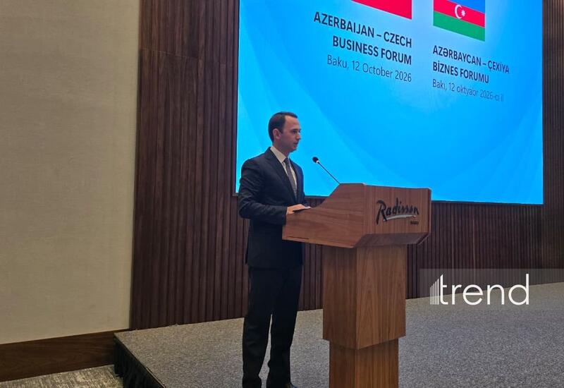 Азербайджан заинтересован в расширении сотрудничества с Чехией в сфере транспорта