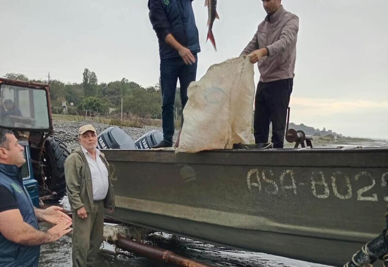 Незаконная рыбалка в Каспийском море обошлась в 5 тысяч манатов
