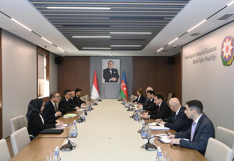 Azərbaycan və İndoneziya arasında İƏT Zirvə Görüşünə hazırlıq müzakirə olunub
