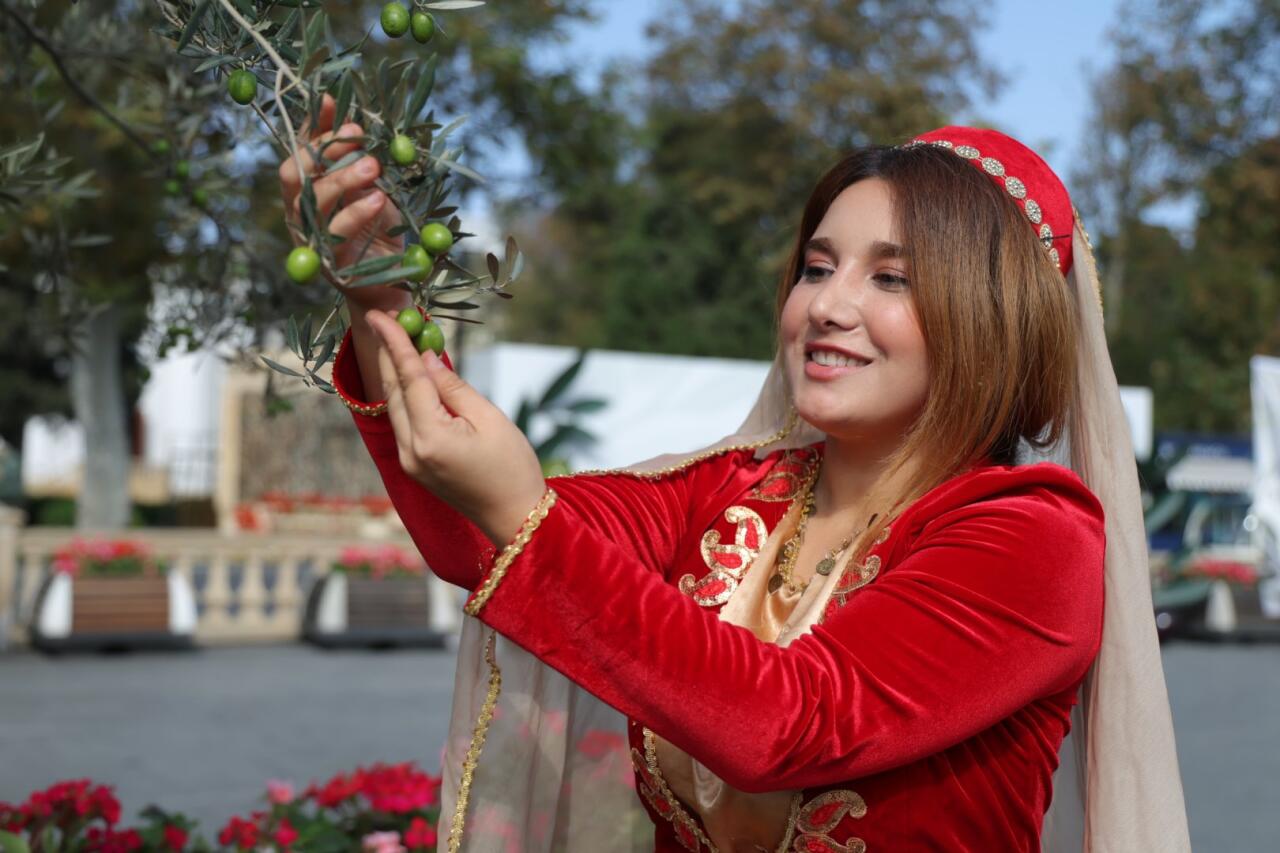 Zeytun Festivalının ikinci günü başladı