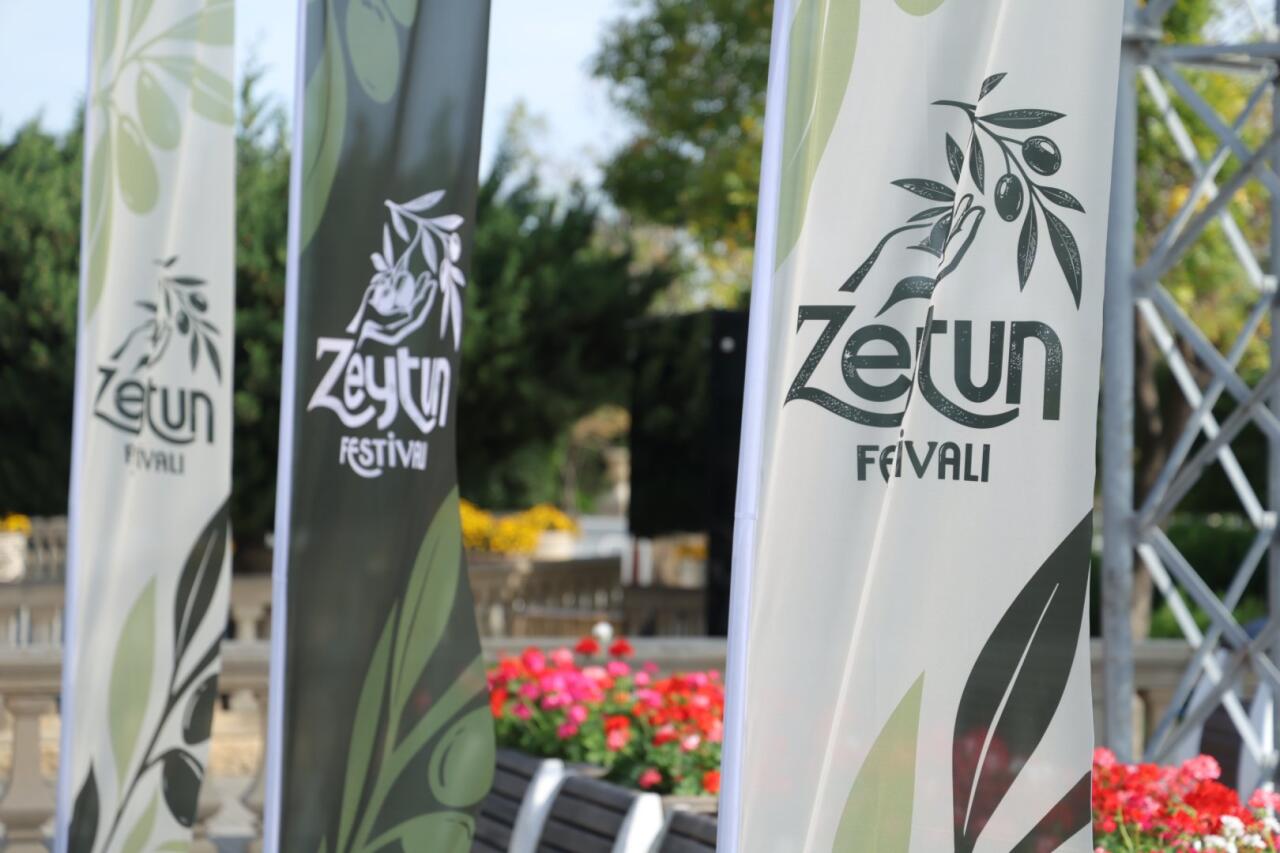 Zeytun Festivalının ikinci günü başladı