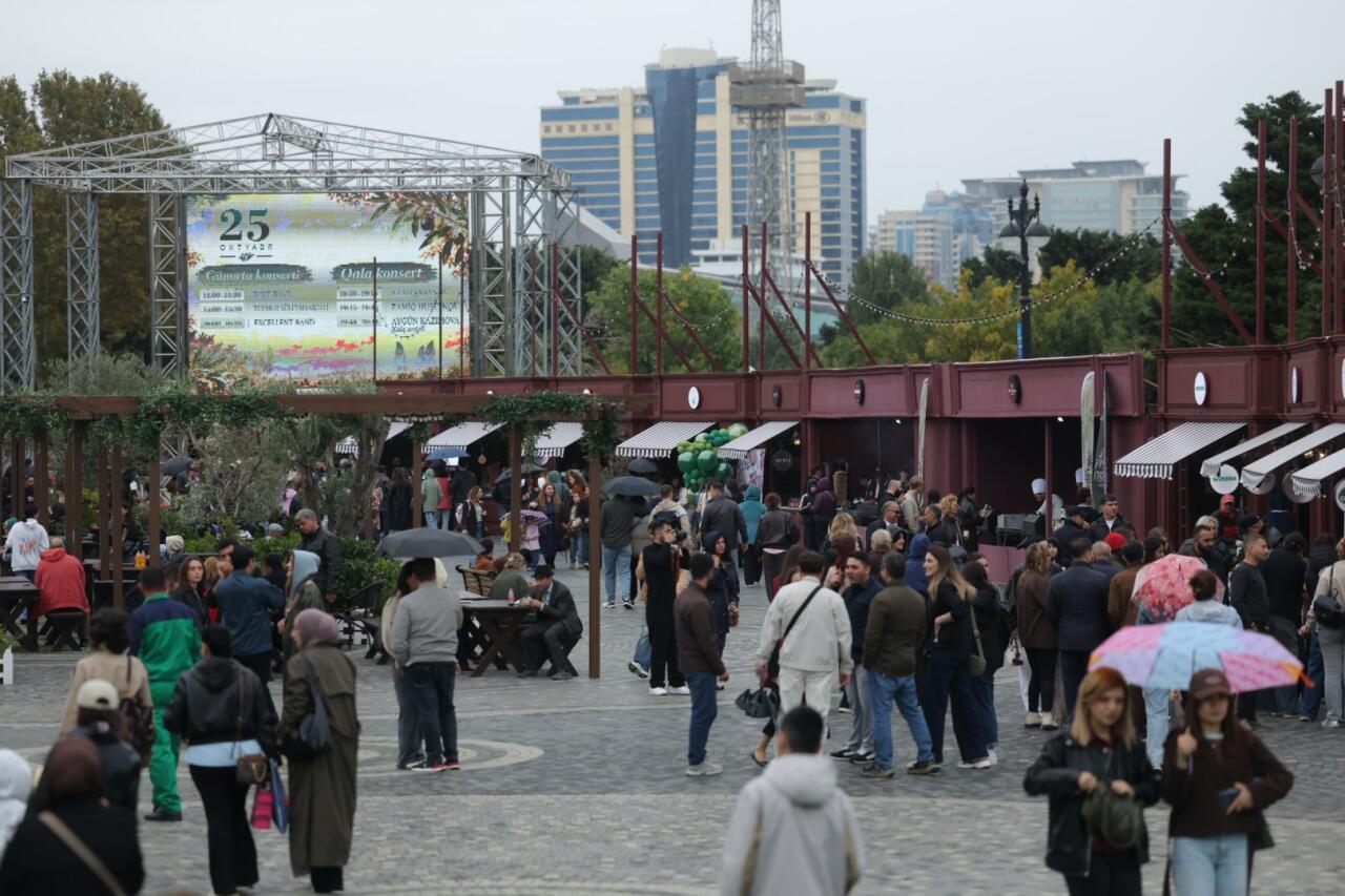 Yağışlı havaya baxmayaraq, Zeytun Festivalı davam edir
