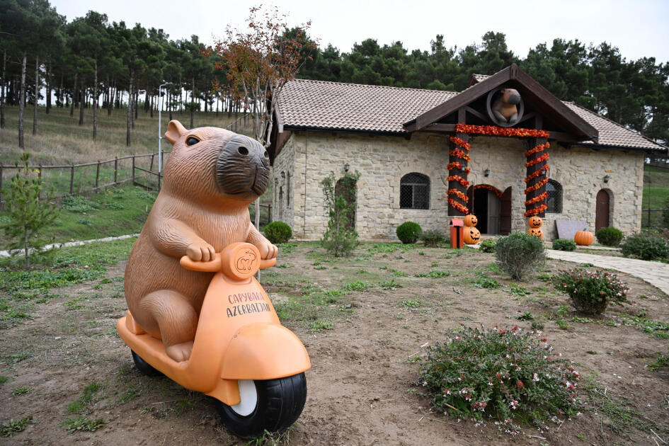 Лейла Алиева и Алена Алиева побывали на ферме Capybara Azerbaijan в Шамахы