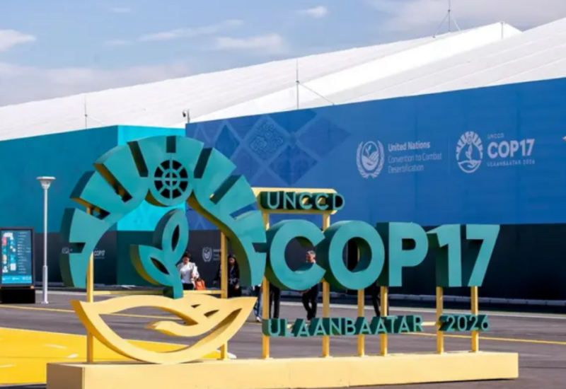Как в Армении используют СОР17