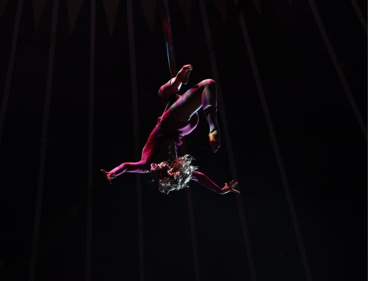 В Баку представлено яркое международное шоу The World of Adrenaline