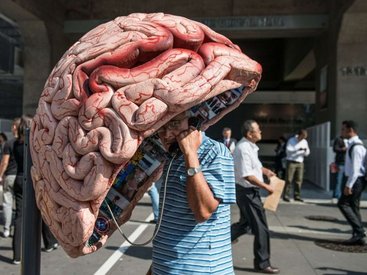 Необычные бразильские телефонные будки - ФОТОСЕССИЯ