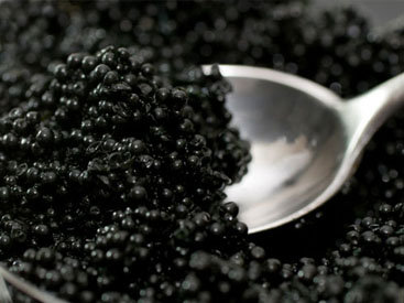 Обнародованы новые квоты на экспорт черной икры из прикаспийских государств в 2010 году