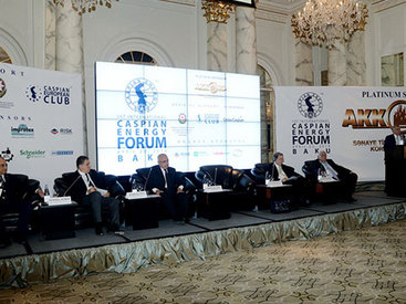 В Баку начался I Международный Caspian energy forum – 2014 - ОБНОВЛЕНО - ФОТО
