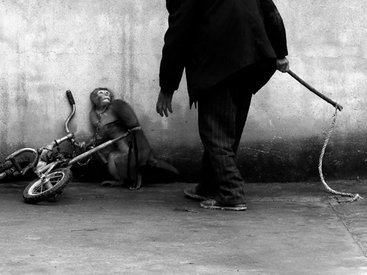 Фотоконкурс World Press Photo 2015 - ФОТОСЕССИЯ