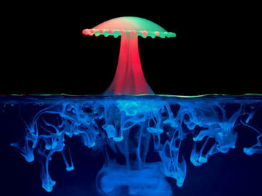 "Картинная галерея" Day.Az: Удивительная красота капель - ФОТО