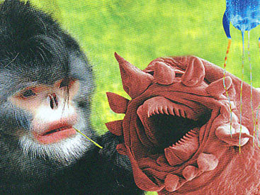 ТОП-10 самых удивительных обитателей Земли - ФОТО