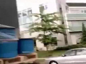 Они явно не ожидали такого - ВИДЕО