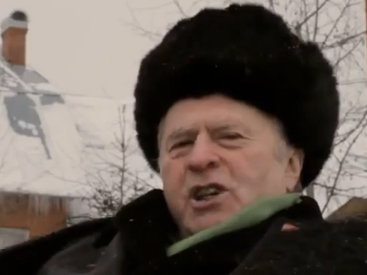 Жириновского обвинили в неэтичном обращении с ослом - ВИДЕО