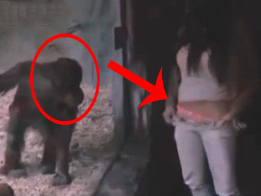 Девушка показала одно место обезьяне - ВИДЕО