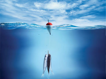 Незаконная деятельность армянского депутата в Грузии