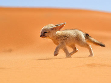 Фотоконкурс от журнала National Geographic Traveler 2013 - ФОТОСЕССИЯ