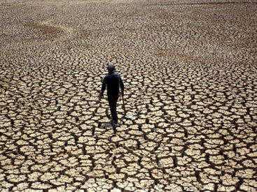 Устрашающие прогнозы ученых: Землю ждет сто лет "мегазасухи"