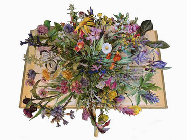 "Картинная галерея" Day.Az: Композиции из книг Керри Миллер - ФОТО