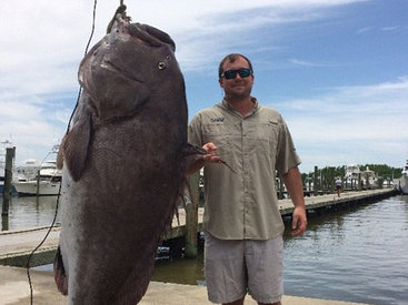 Рекорд: пойман самый большой в мире окунь - ФОТО