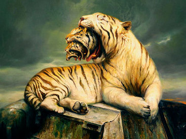 "Картинная галерея Day.Az": Краски животного мира - ФОТО