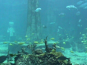 Atlantidanın varlığı ilə bağlı yeni faktlar ortaya çıxıb