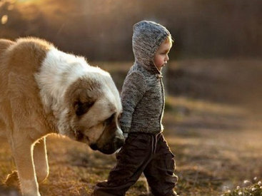 Маугли наших дней: дети, которых вырастили животные - ФОТОСЕССИЯ