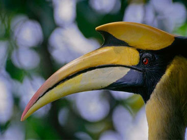 Яркие краски тропического рая - ФОТОСЕССИЯ